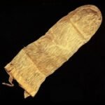 The first condom image of 1564