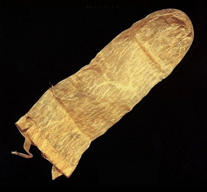 The first condom image of 1564