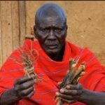 HOW ANCIENT AFRICANS TREATED MALARIA Before Modern Medicine