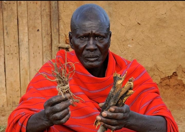 HOW ANCIENT AFRICANS TREATED MALARIA Before Modern Medicine
